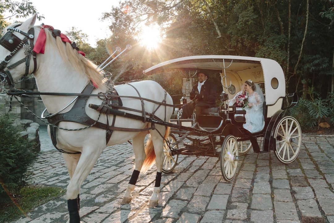 Carruagem com cavalo branco sob o sol, chegando ao casamento
